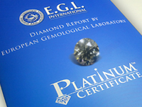 lab platinum 1.jpg